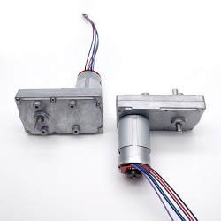 2個 12V/24V ブラシDCギヤードモータ GM100F-555PM 永久磁石モータ ギア比 60~365 平行軸ギヤボックス付き