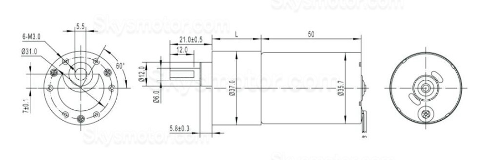 2個 12V/24V BLDCギヤードモーター GM37-TEC3650 7W/11W ギア比 6~810 平行軸ギヤボックス付き